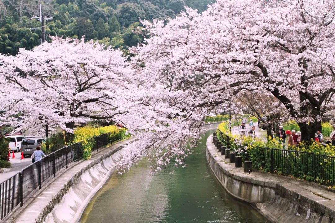 【女神节】出境游热卖线路推荐!女士报名有礼送~