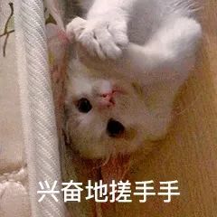 民治商圈组团放大招!“三八”妇女节游玩攻略来啦