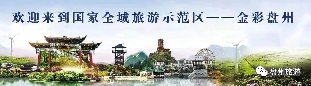 【盘州旅游】盘州市文体广电旅游局举办2024年庆祝“三八”妇女节活动