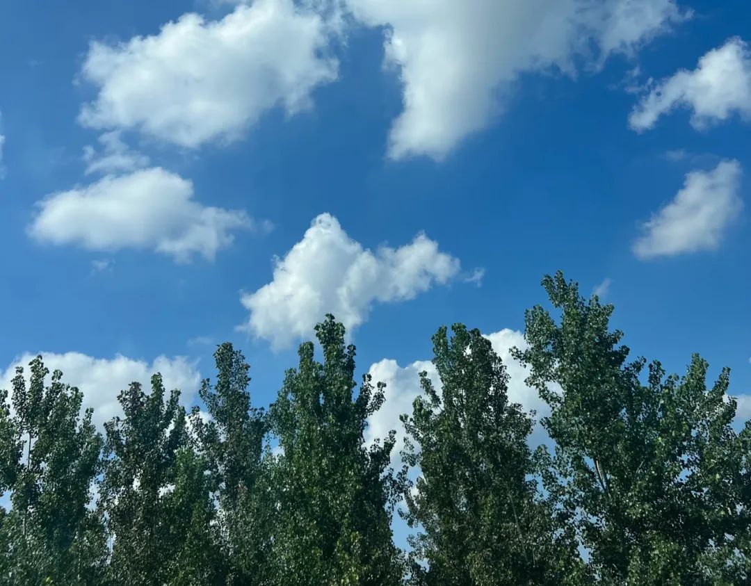 [鹤壁•天气]阳光助力回暖,周末适宜出游