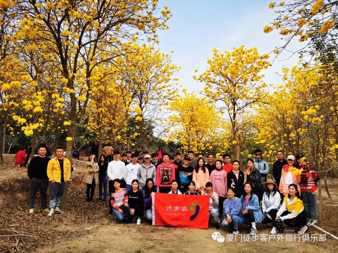 非周末周三3.13同安竹坝大峡谷爬山,溯溪,攀岩,野炊赏黄花风铃木一日游