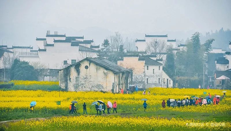 婺源油菜花开啦!特色民宿,体验原生态生活...住进春日油画