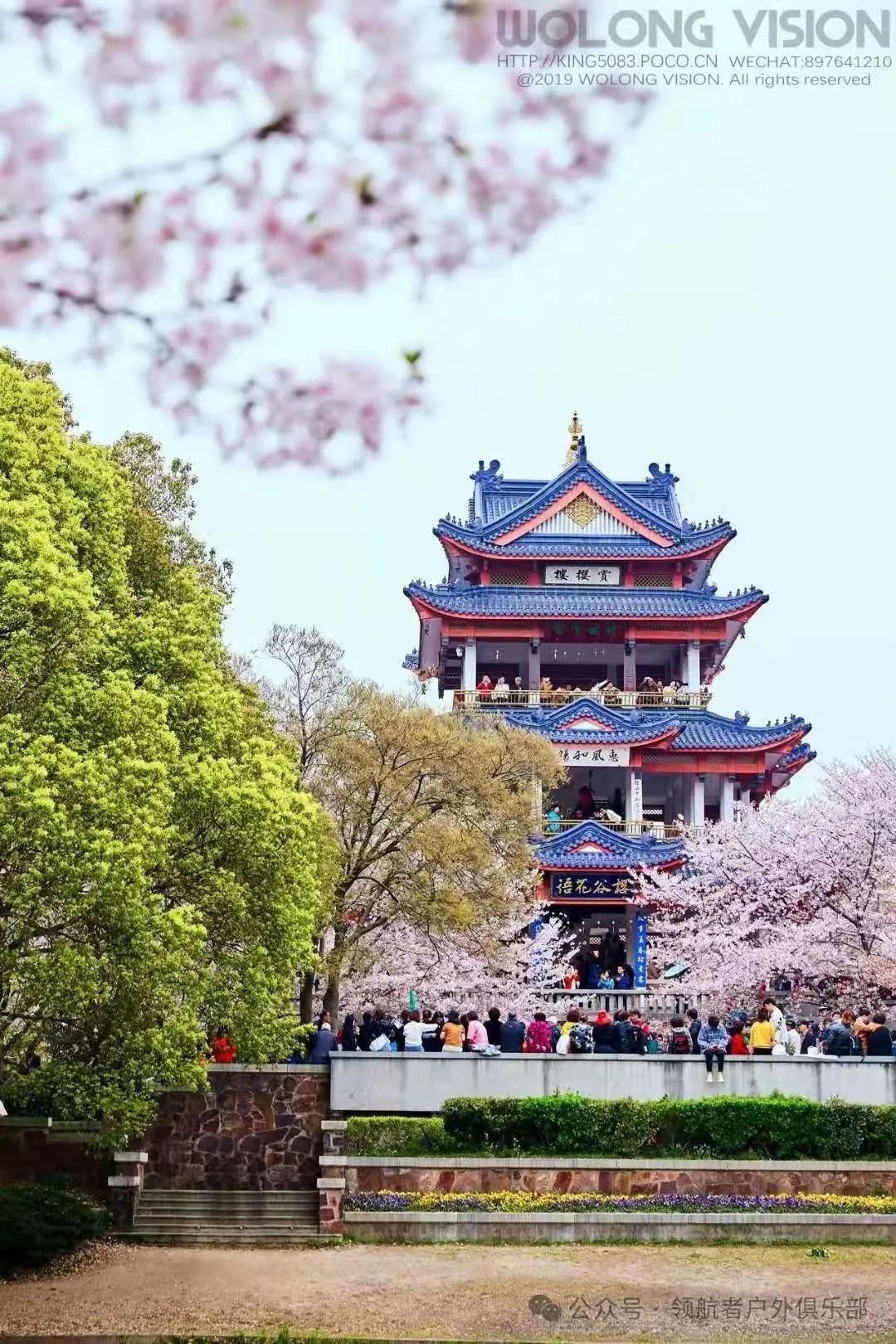 烟花三月江南水乡-华东六市赏花九日自驾游
