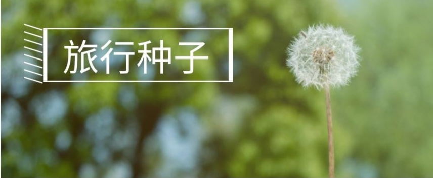 【马鞍山科考-种子旅行】11.12上午,博物趣登山,马鞍山登山科考亲子营,一起探索种子的旅行