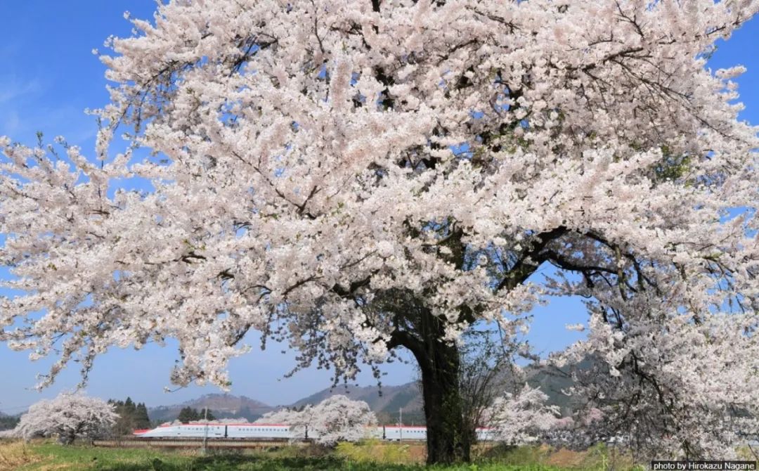 日本环游铁道之旅——名古屋 磁浮·铁道馆 (一)