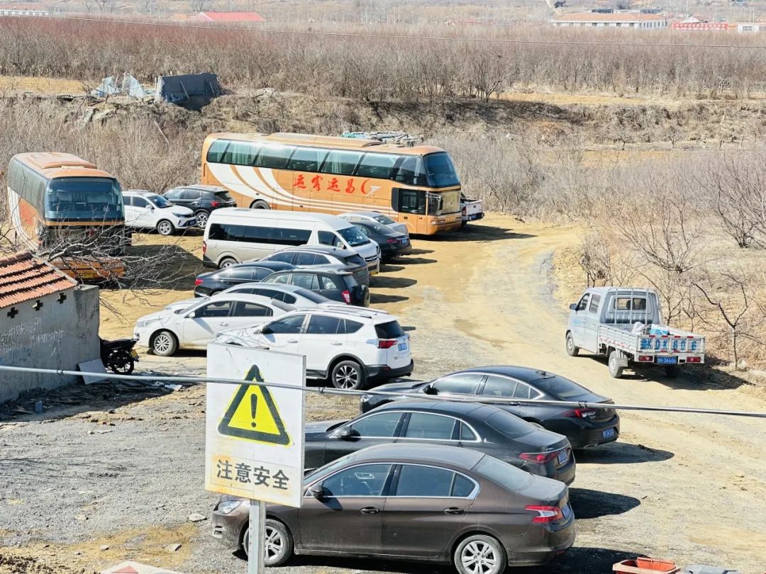 忘忧鱼休闲度假区单日游客总量突破200人!