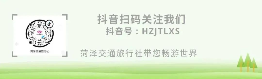 一起“趣”种树呀!——交通旅行社积极参与公益植树活动