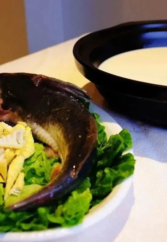 春天的味道|芜湖国信大酒店春季美食推荐