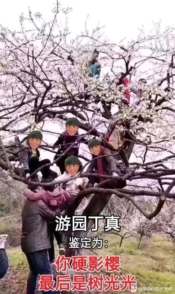游客渐渐多了起来