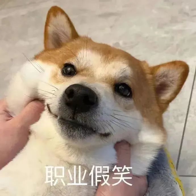 越来越讨厌中国式旅游了.