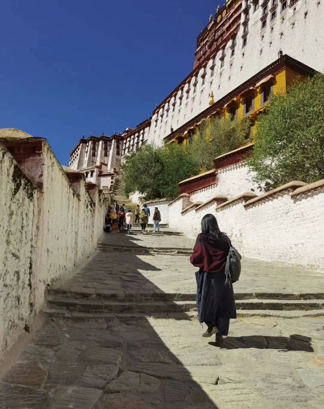 西藏,一场触及灵魂的旅行.(下)