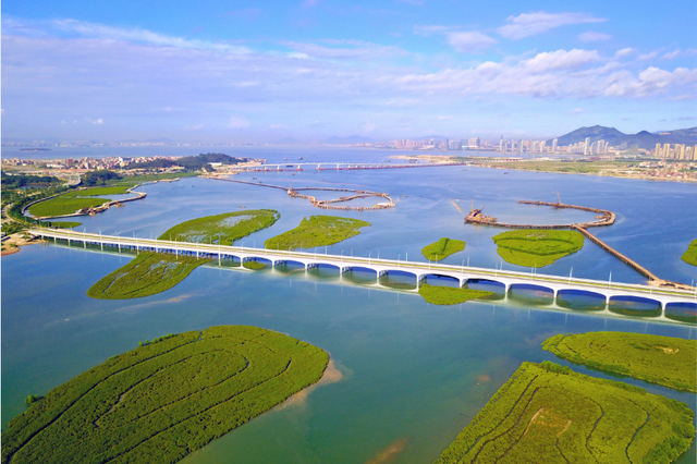 厦门旅游|一片绿色的海上乐园——下潭尾湿地公园