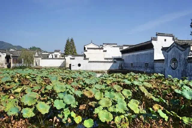 安徽省争议最大的城市,为了发展旅游而改名,很多人却要求改回去