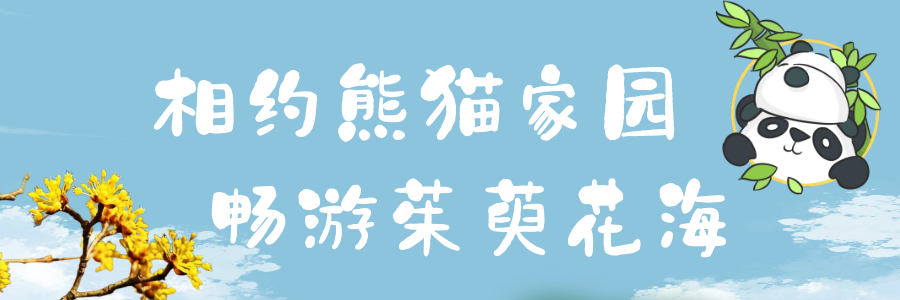 第十七届“茱萸花海踏春游”启动仪式当天公交计划班次
