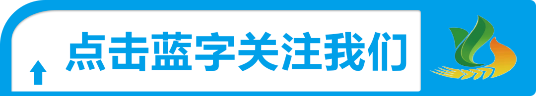 江苏省休闲农业精品村 ▏茅山风景区李塔陈庄村