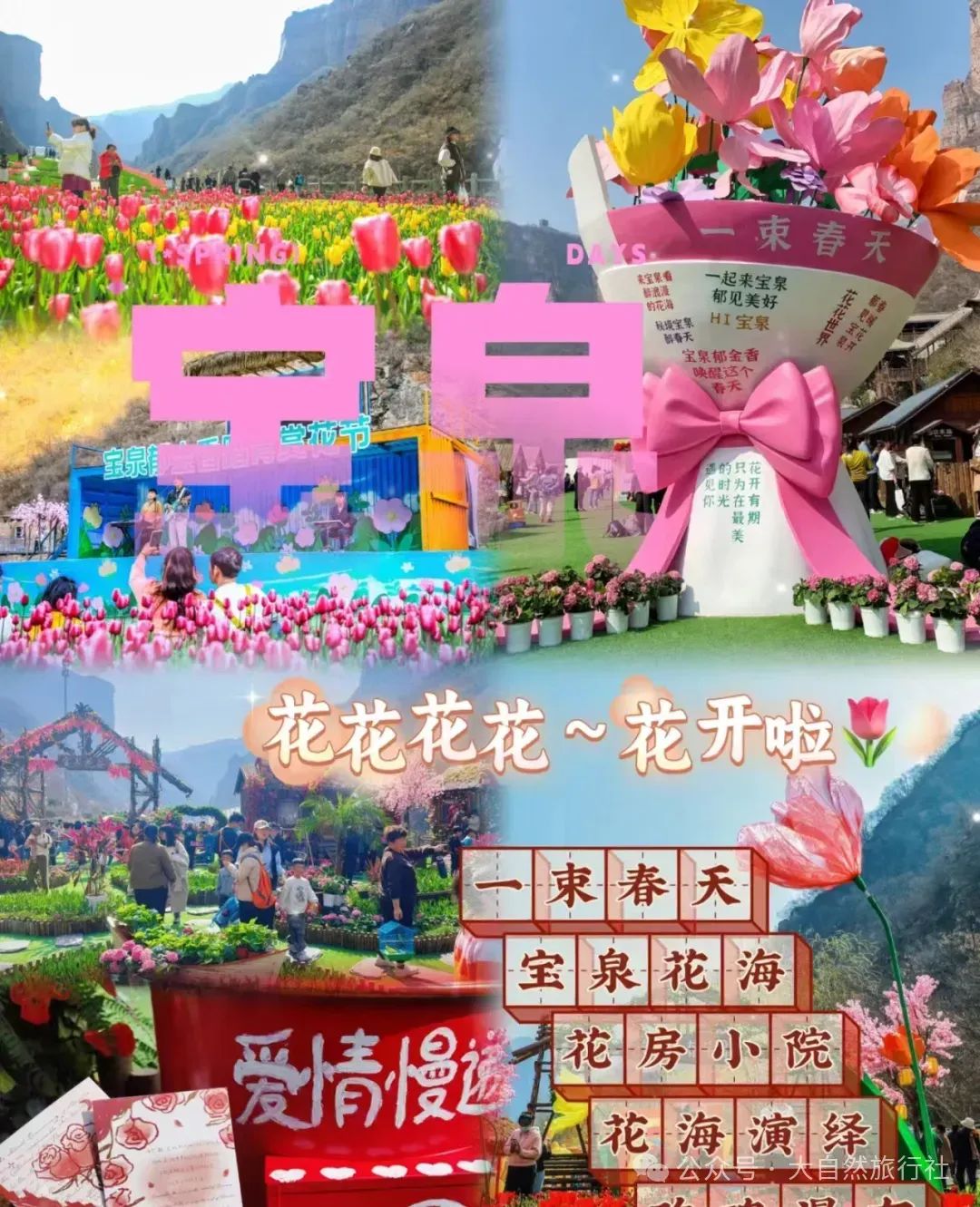 【大自然旅游】宝泉郁金香赏花纯玩一日游