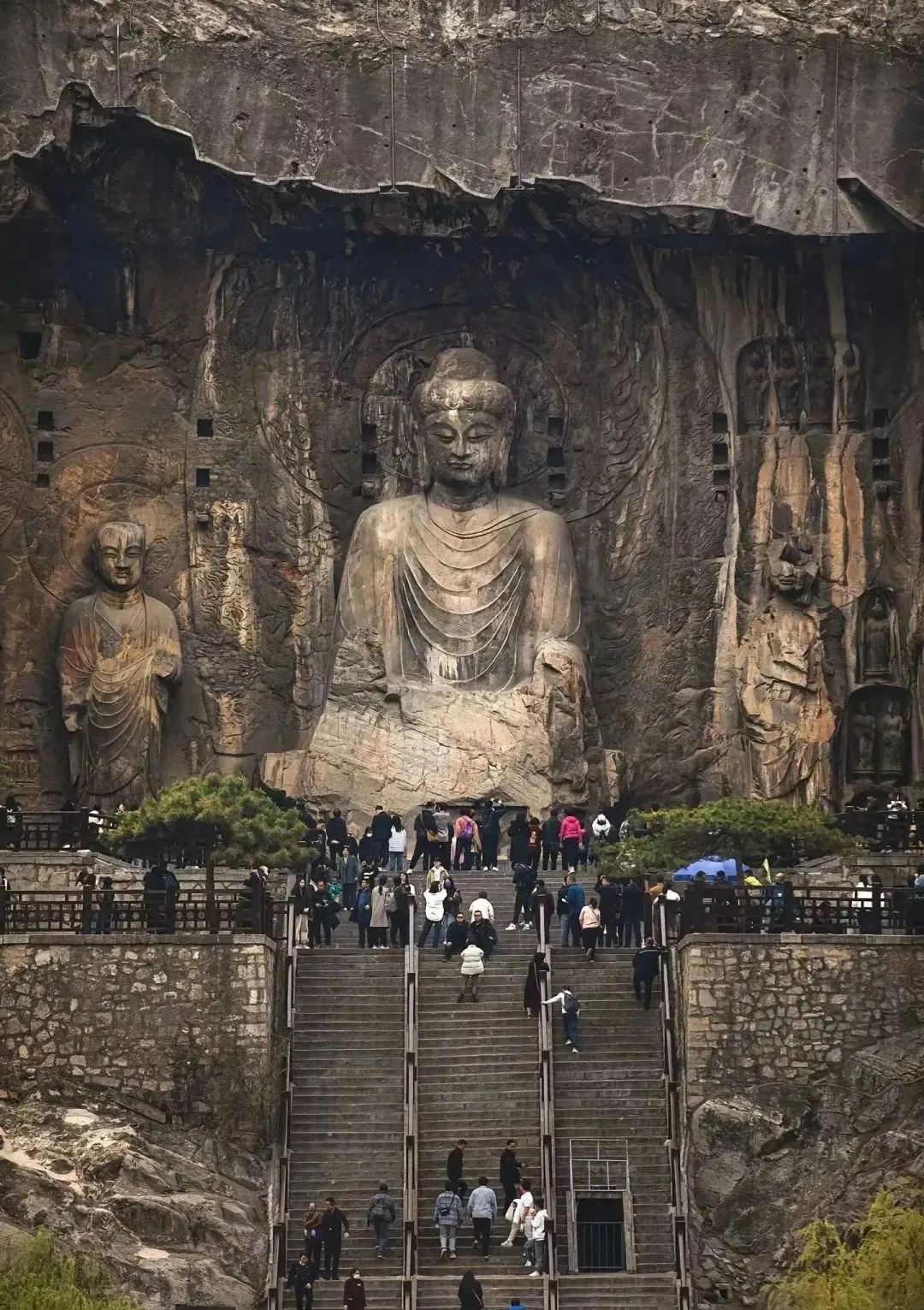 【旅游专线】自3月16日起,焦运集团汽车客运总站旅游集散中心推出洛阳龙门石窟、洛邑古城一日游专线,每周六 、周日发车!