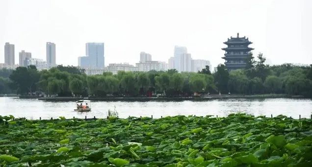 谁死谁有理?四川一老人去山东旅游期间,于睡梦中安详去世,家属竟向旅行社索赔15万!网友:讹人需要赔偿吗?