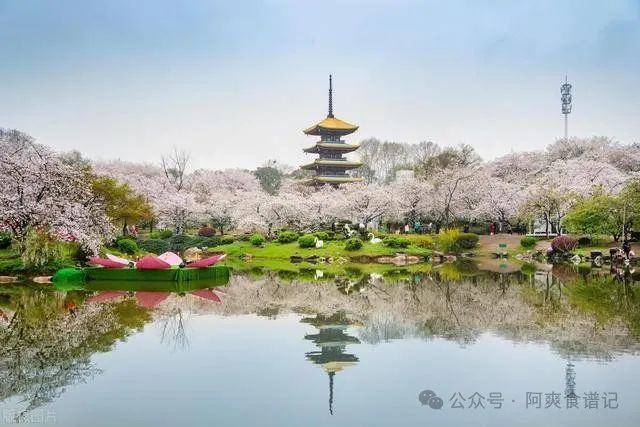 适合3月出发的旅行地!有机会一定要去一次,简直美得不要太好看啦!
