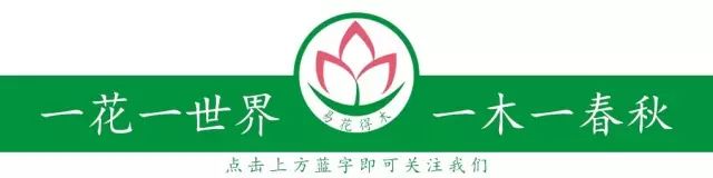 全国十大杏花自然和文化景点盘点