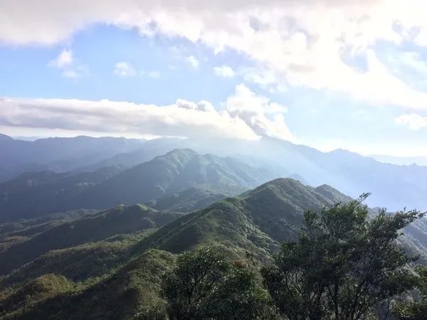 【白卡莲】每周五晚出发:挑战广东驴友户外“高中”毕业线—白卡莲银四峰连穿3天2晚