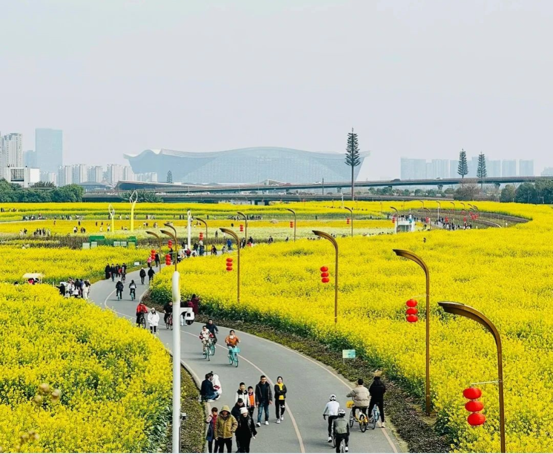 三元 赏花景点出行提示