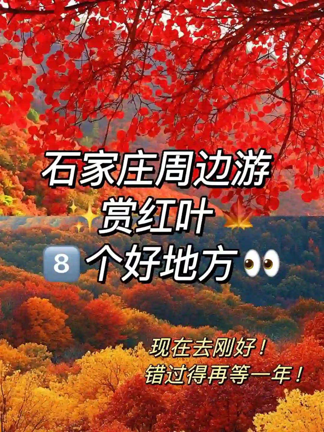 后悔没早看到😭8⃣个石家庄赏红叶好去处