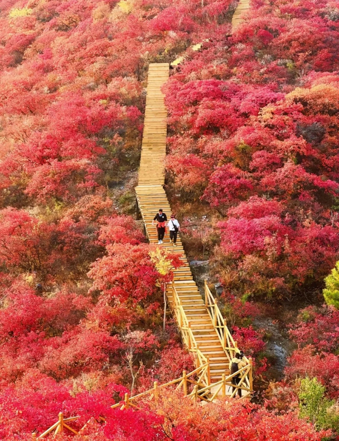 邯郸周边游之太行五指山(涉县)一日游攻略