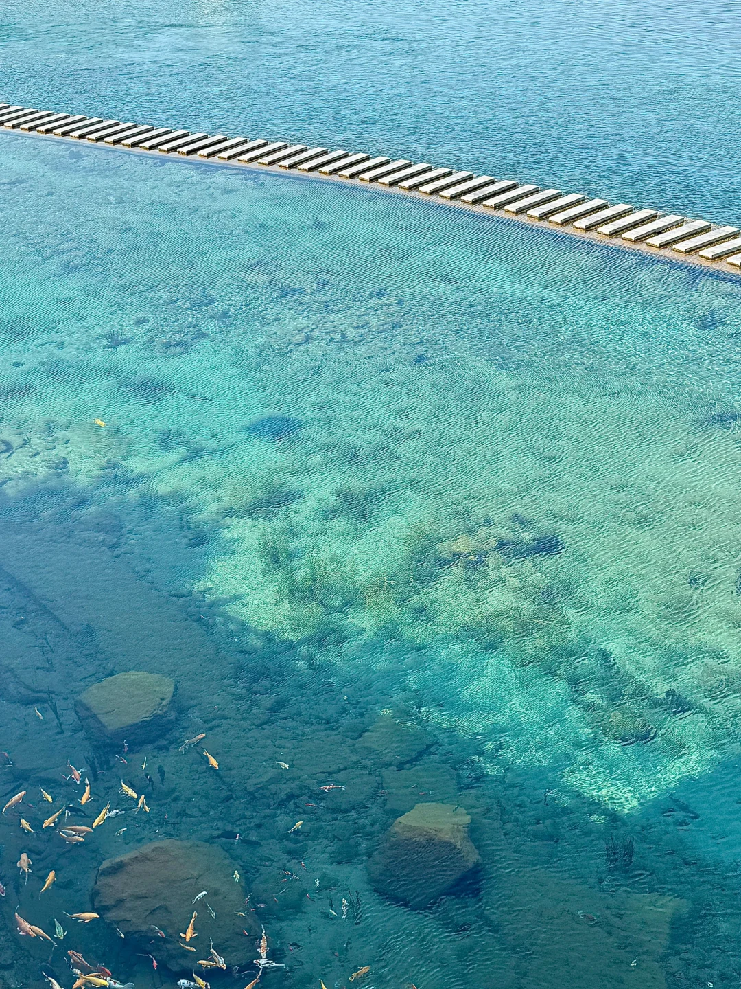 周末游河北｜第1站邯郸