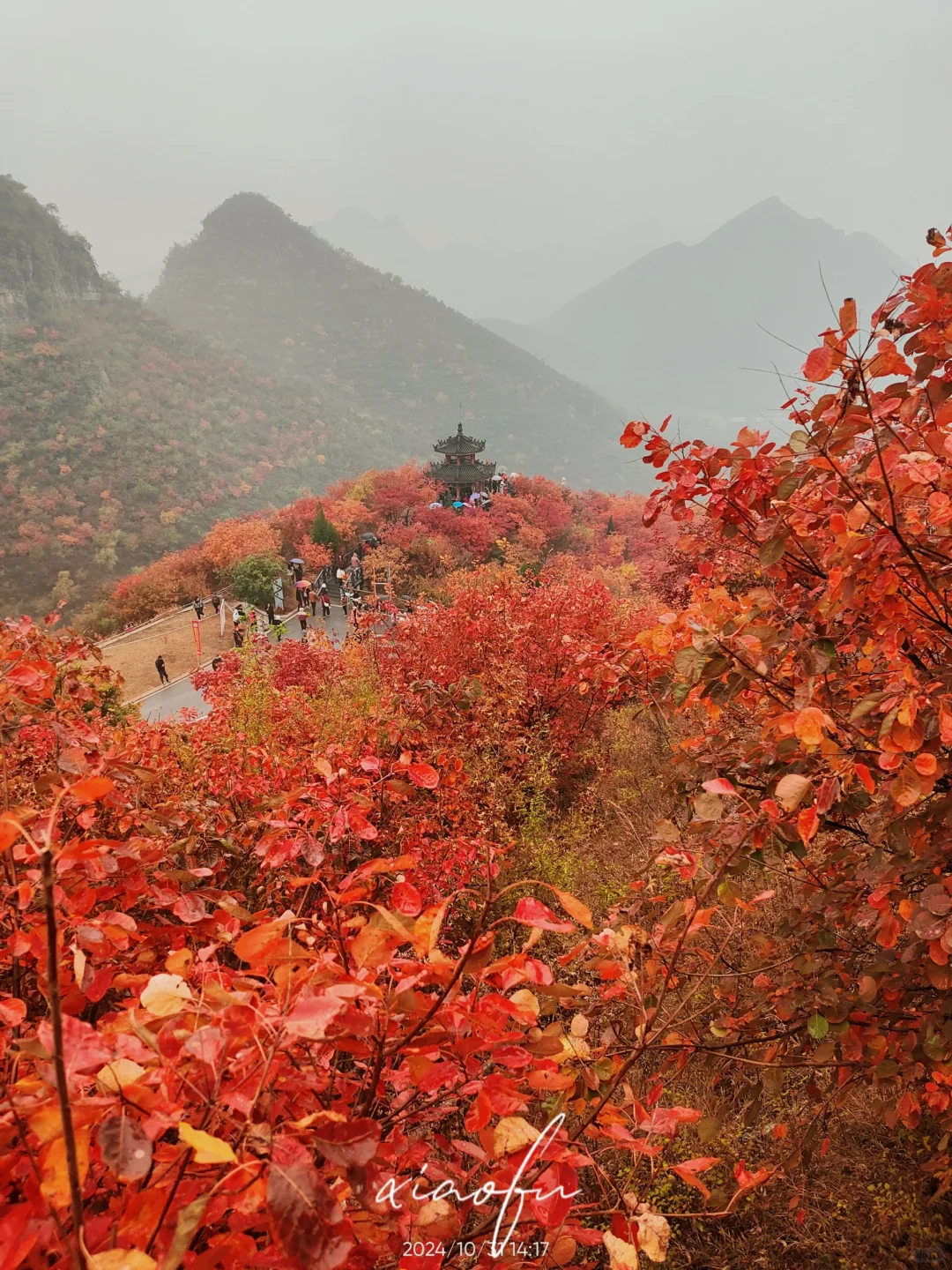 打卡保定最美秋景→媳妇岭