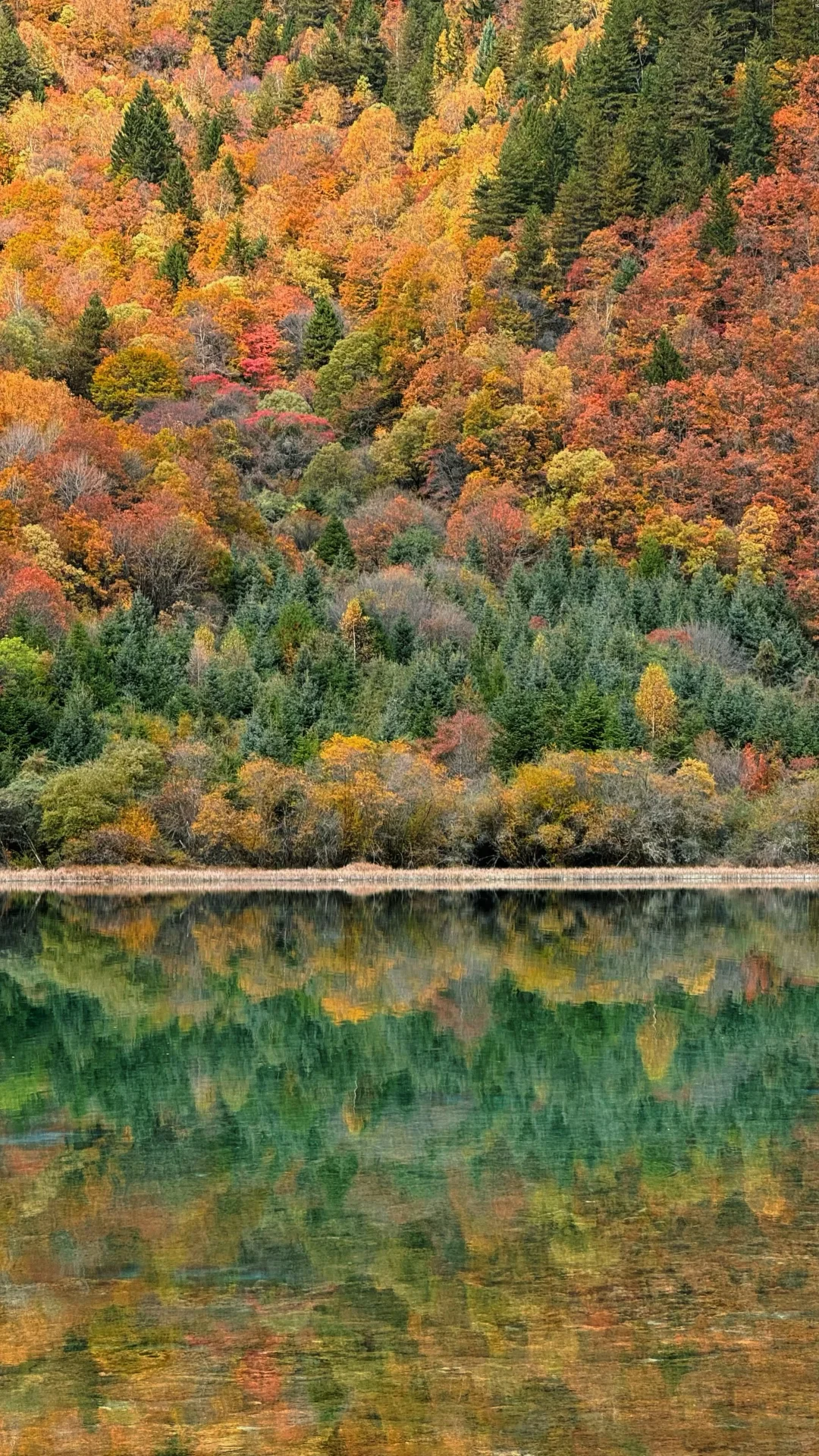 11月1日九寨沟实景