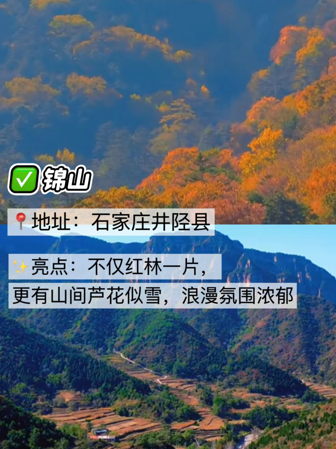 后悔没早看到😭8⃣个石家庄赏红叶好去处