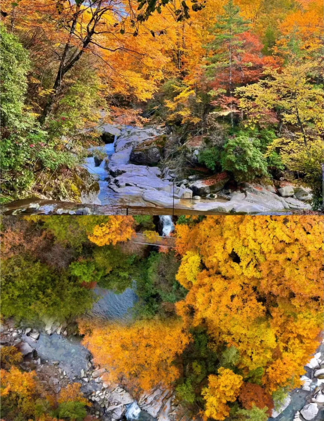 我宣布🍂这里才是秋天美景的天花板！！