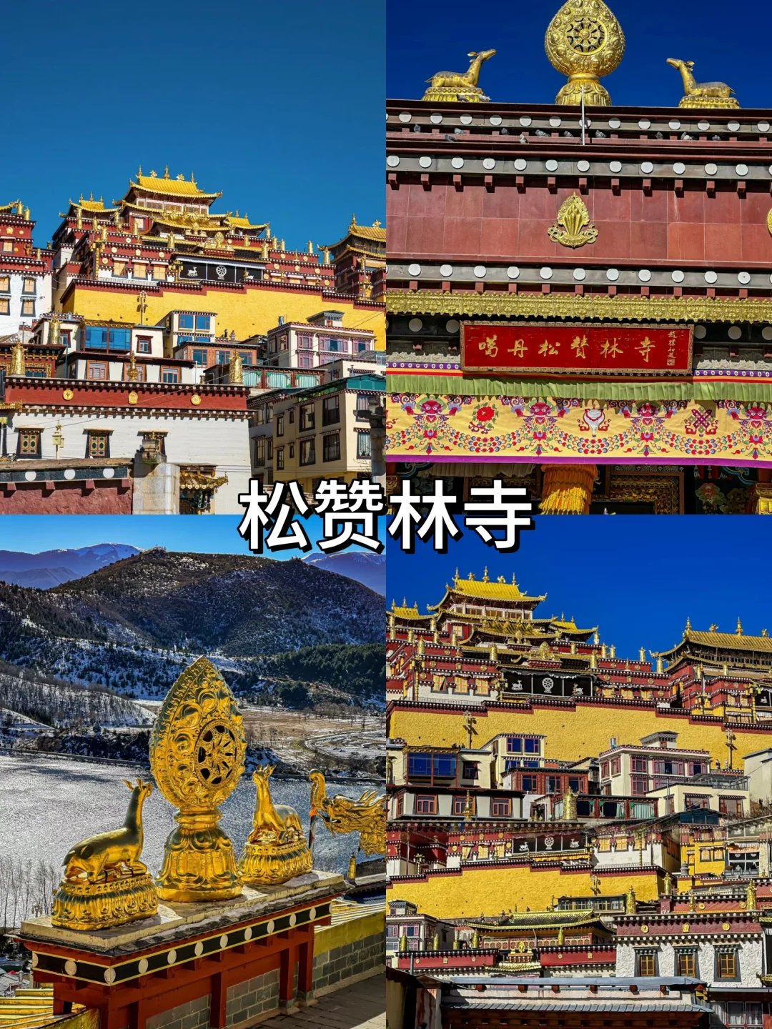 云南必去九大景点‼️旅游必看版