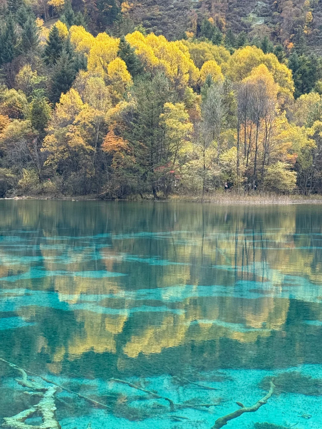 11.01📍九寨沟实况，高铁已回，说点大实话！