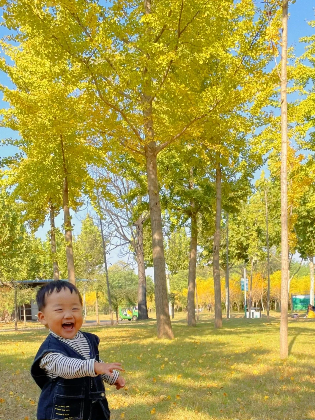 秋日浓度播报｜邢台赏秋绝美地点大公开！