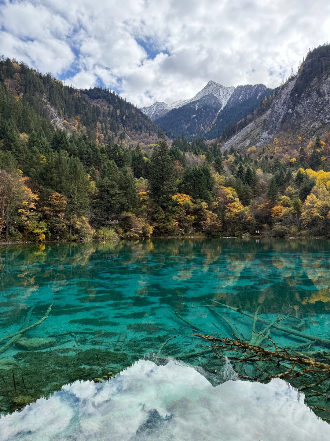 11.01📍九寨沟实况，高铁已回，说点大实话！