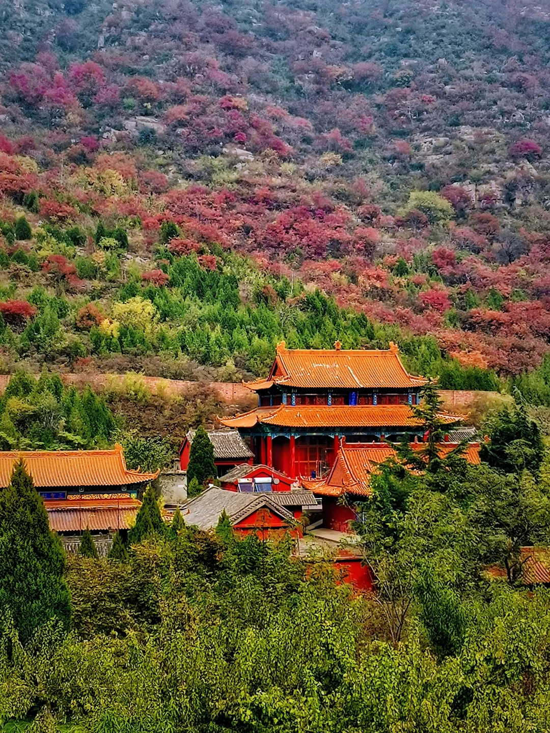 邯郸周边游：金沙河佛照山看红叶