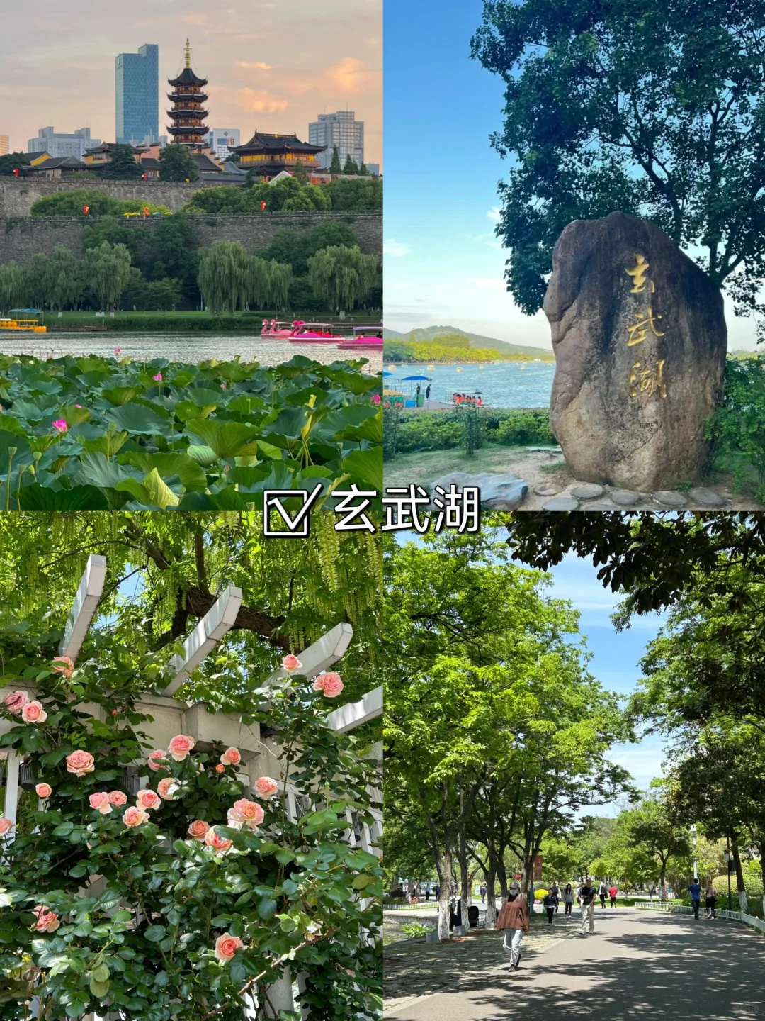 04女大📍南京/三天二夜精华版旅游攻略！