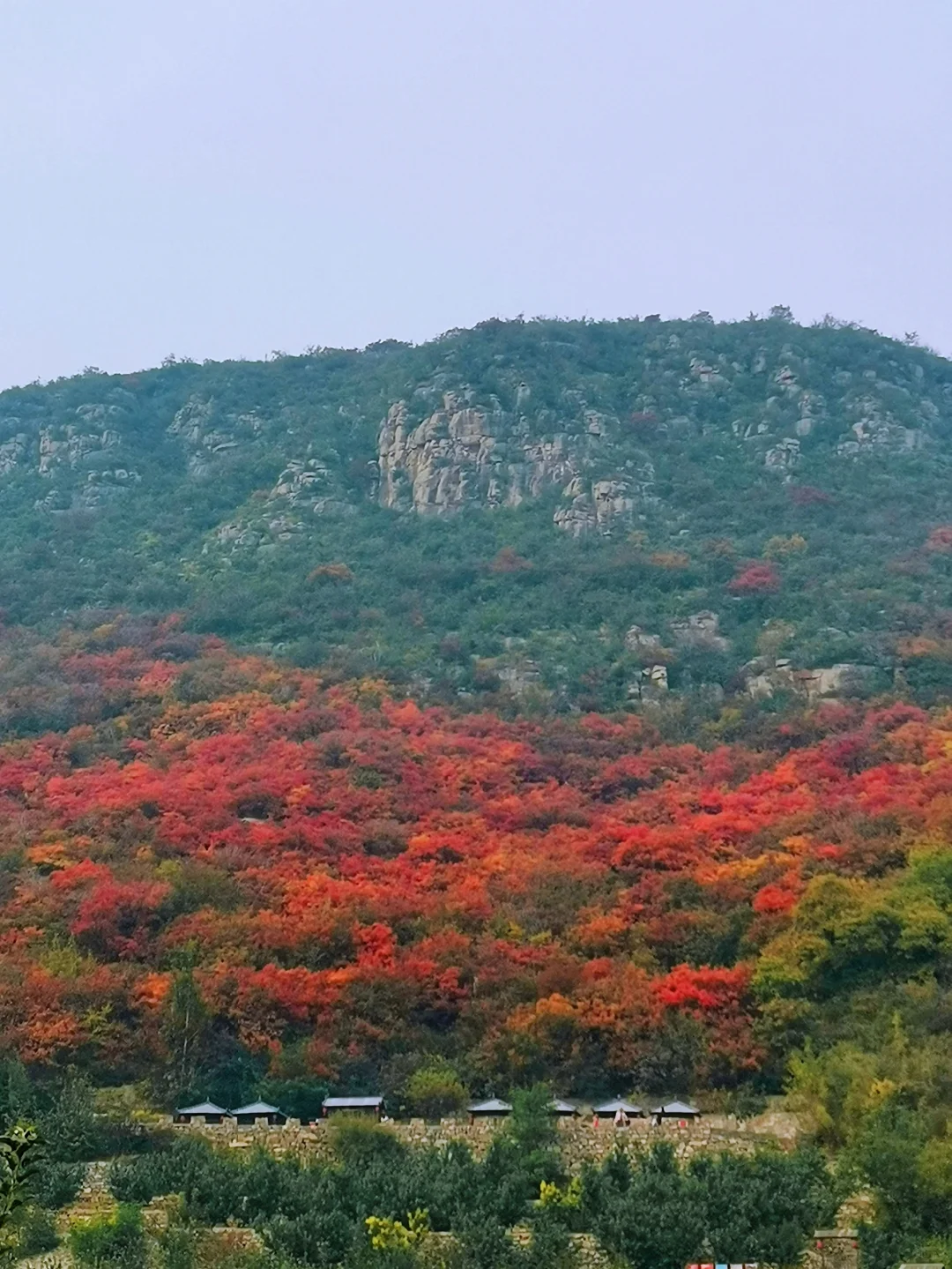 邯郸周边游：金沙河佛照山看红叶