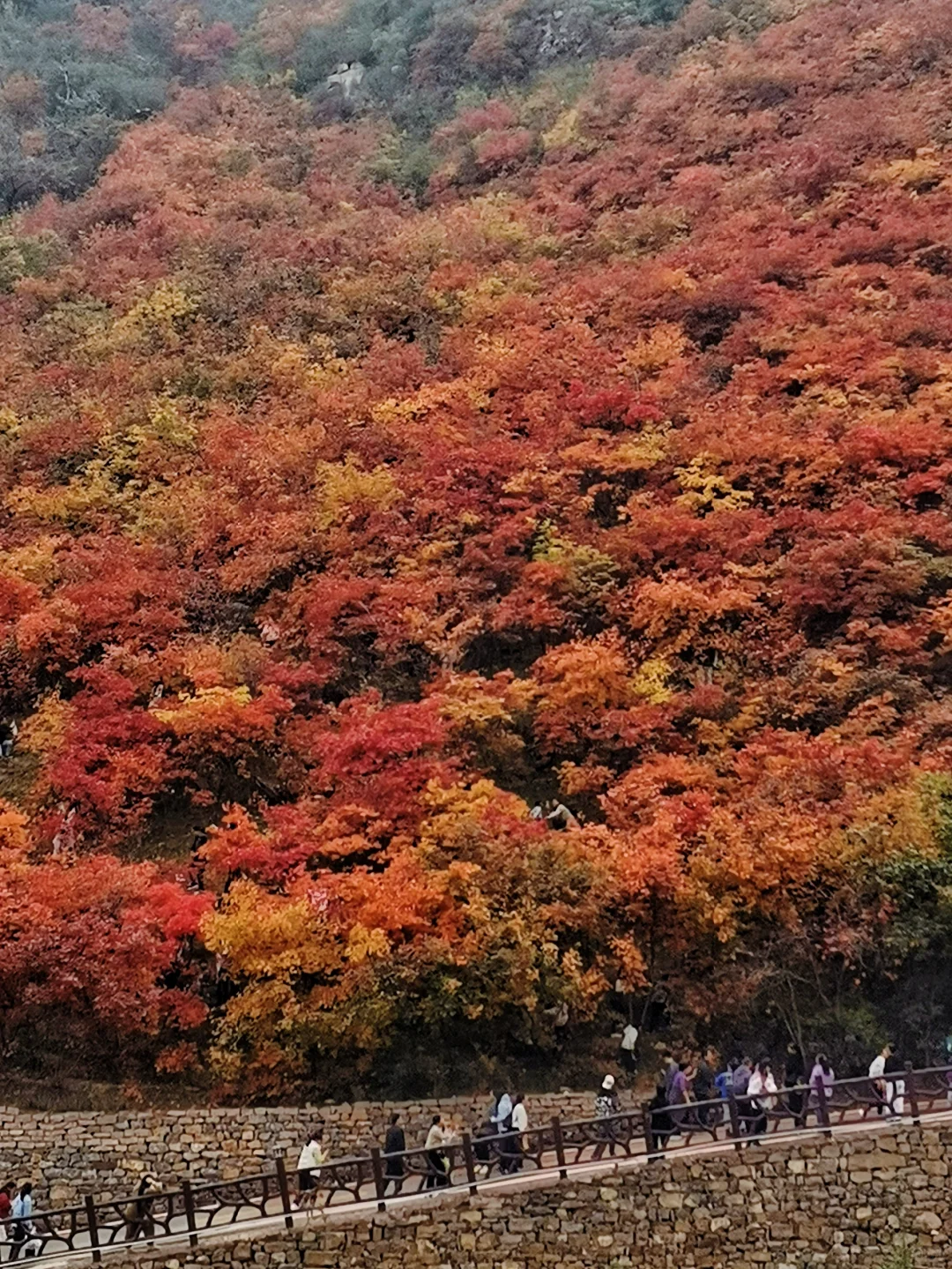 邯郸周边游：金沙河佛照山看红叶