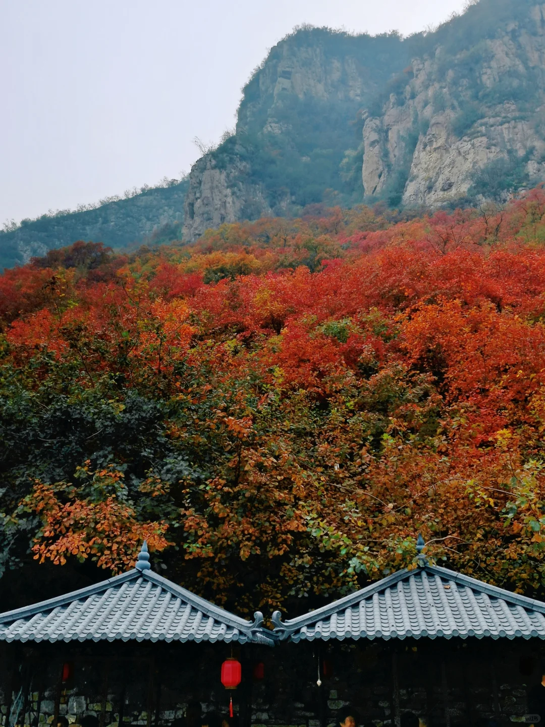 邯郸周边游：金沙河佛照山看红叶