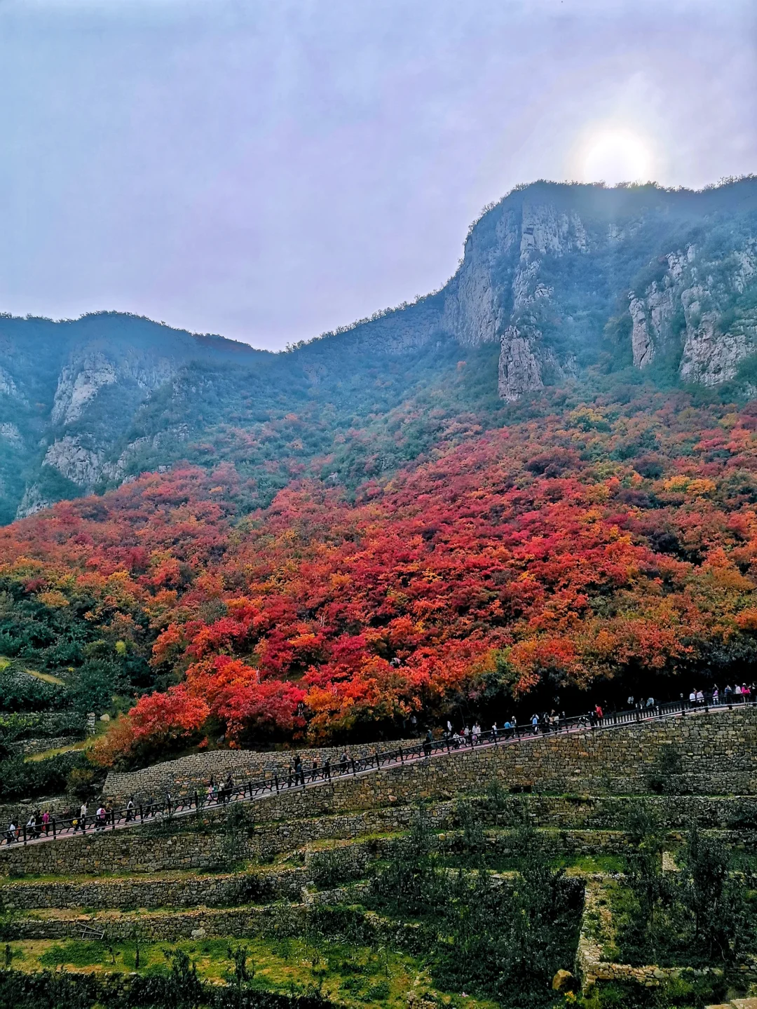 邯郸周边游：金沙河佛照山看红叶