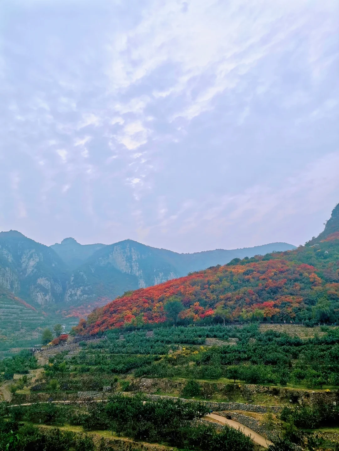 邯郸周边游：金沙河佛照山看红叶