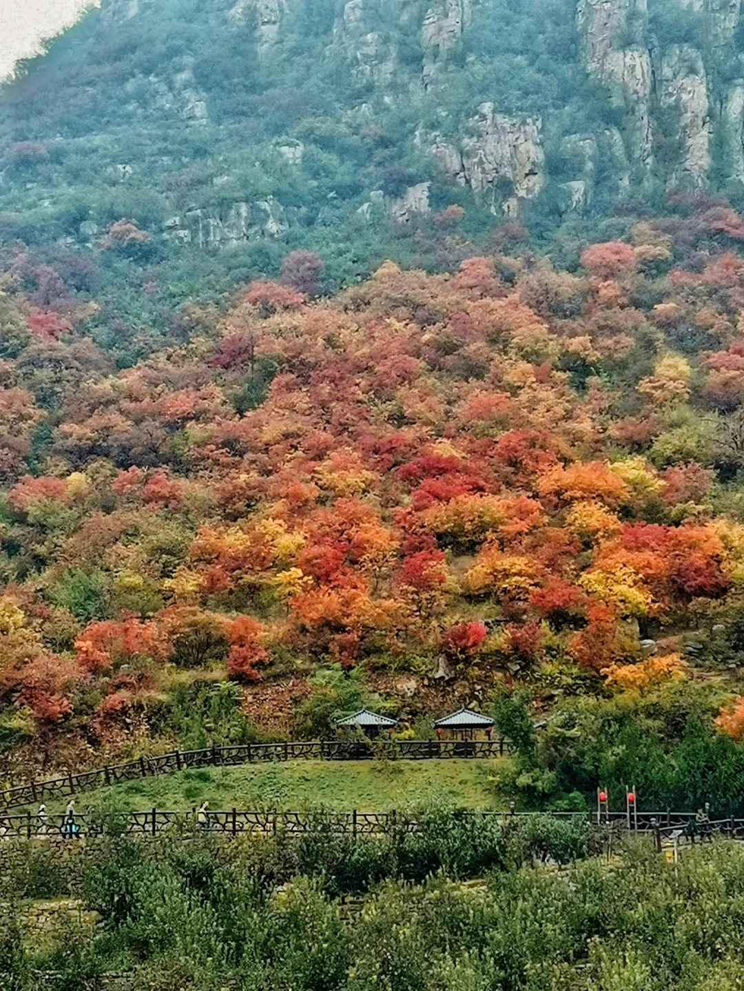 邯郸周边游：金沙河佛照山看红叶