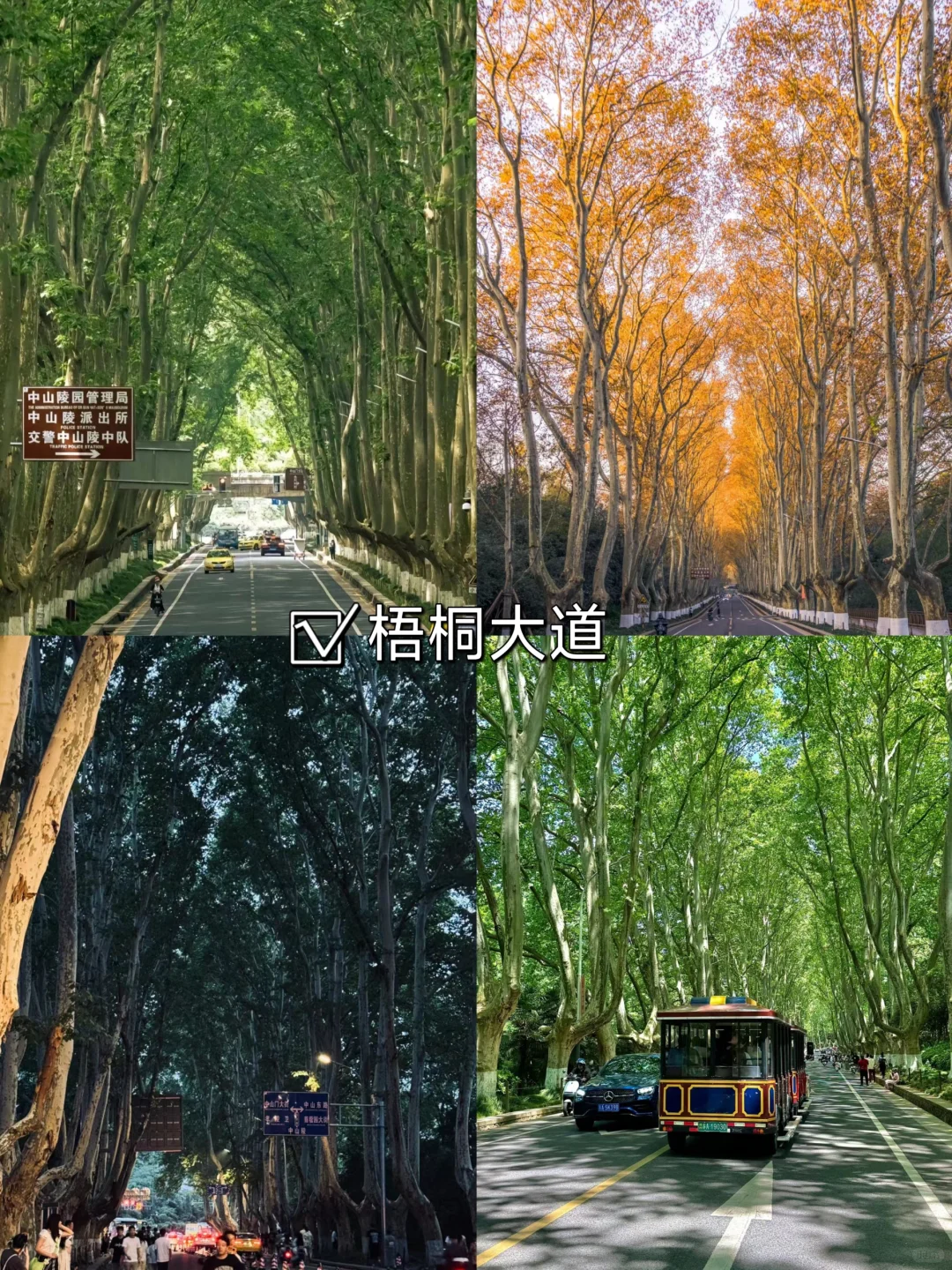 04女大📍南京/三天二夜精华版旅游攻略！