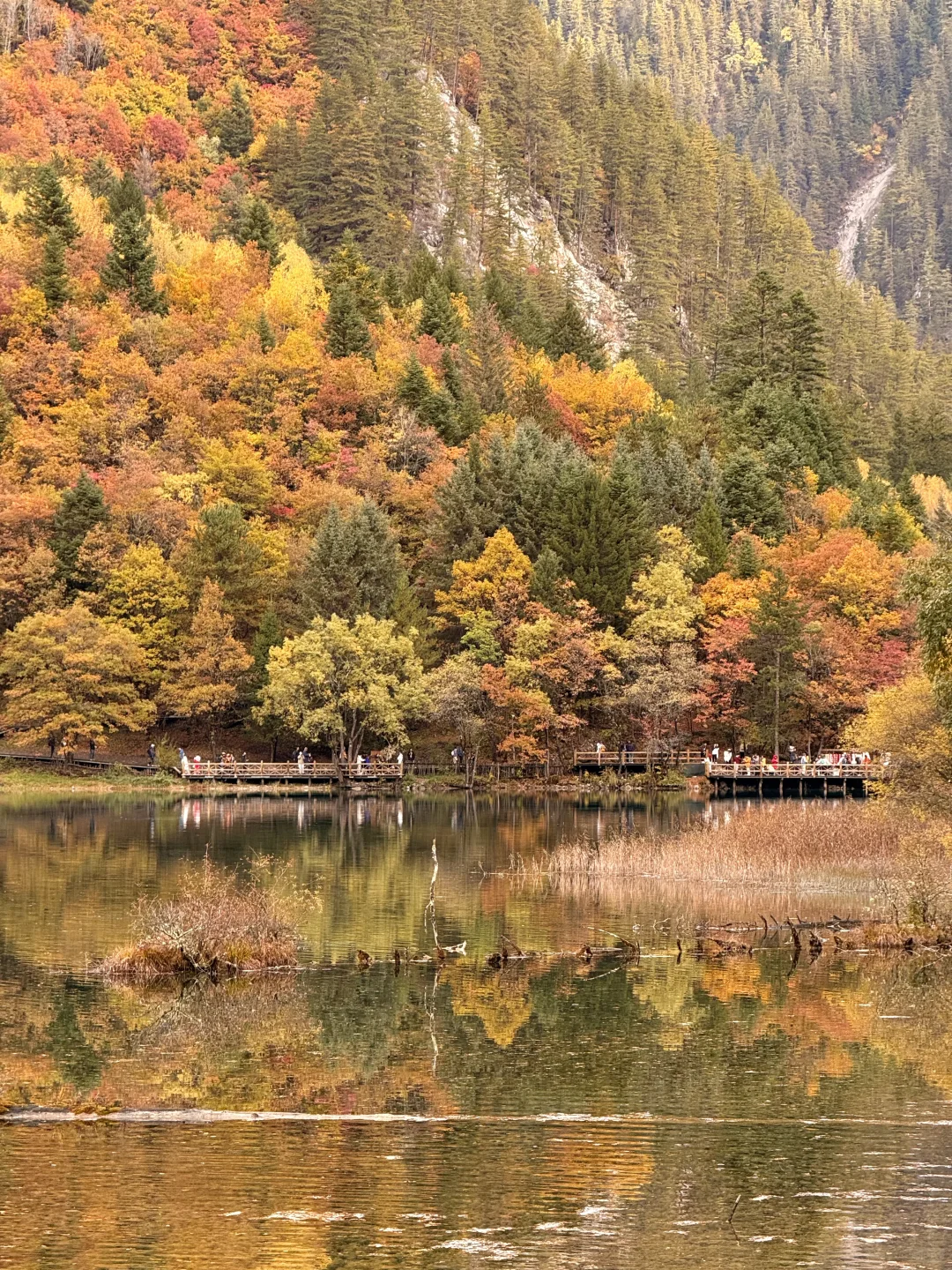 秋天的九寨沟，我想说一万句“ 值得！”