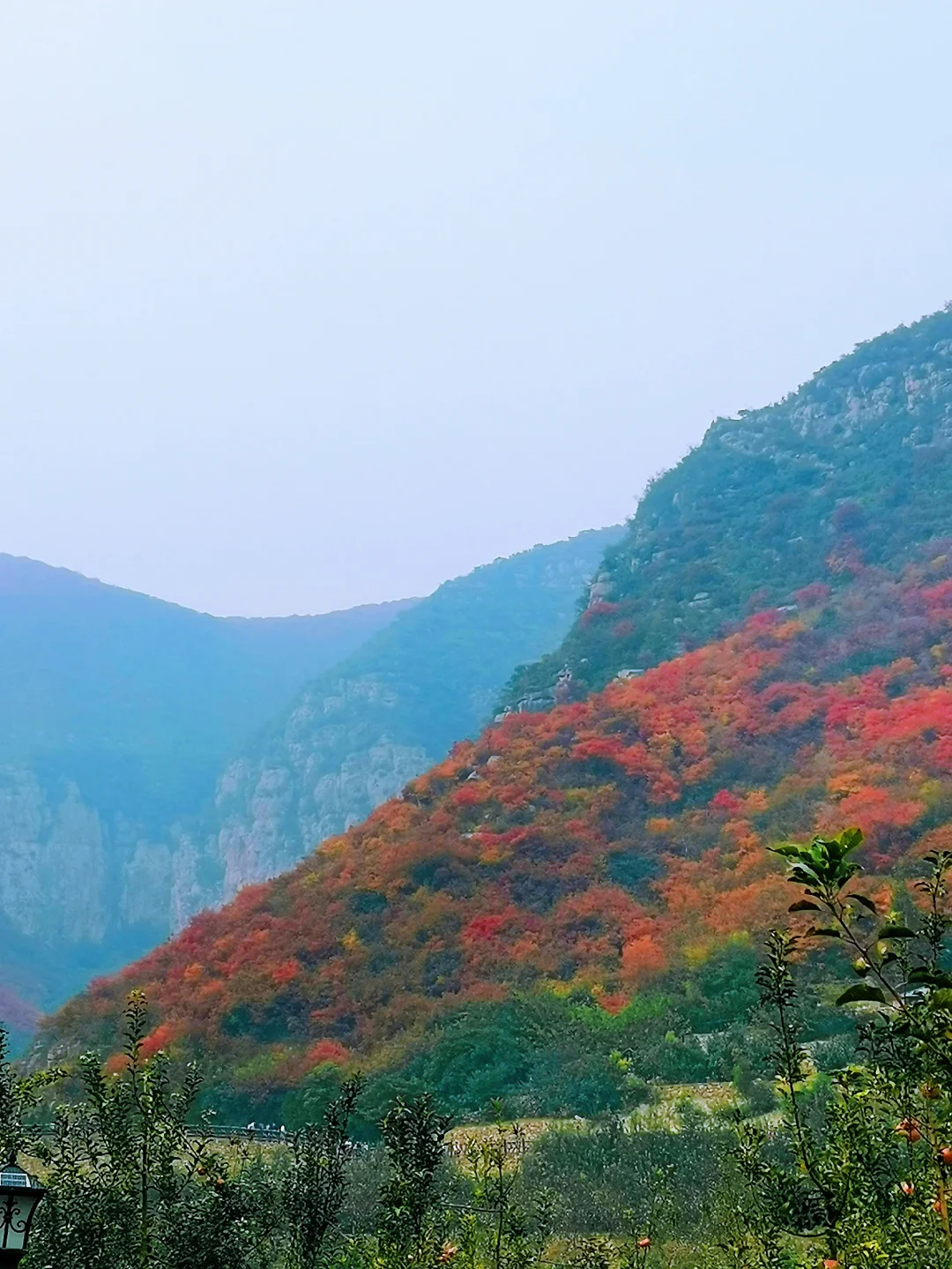 邯郸周边游：金沙河佛照山看红叶