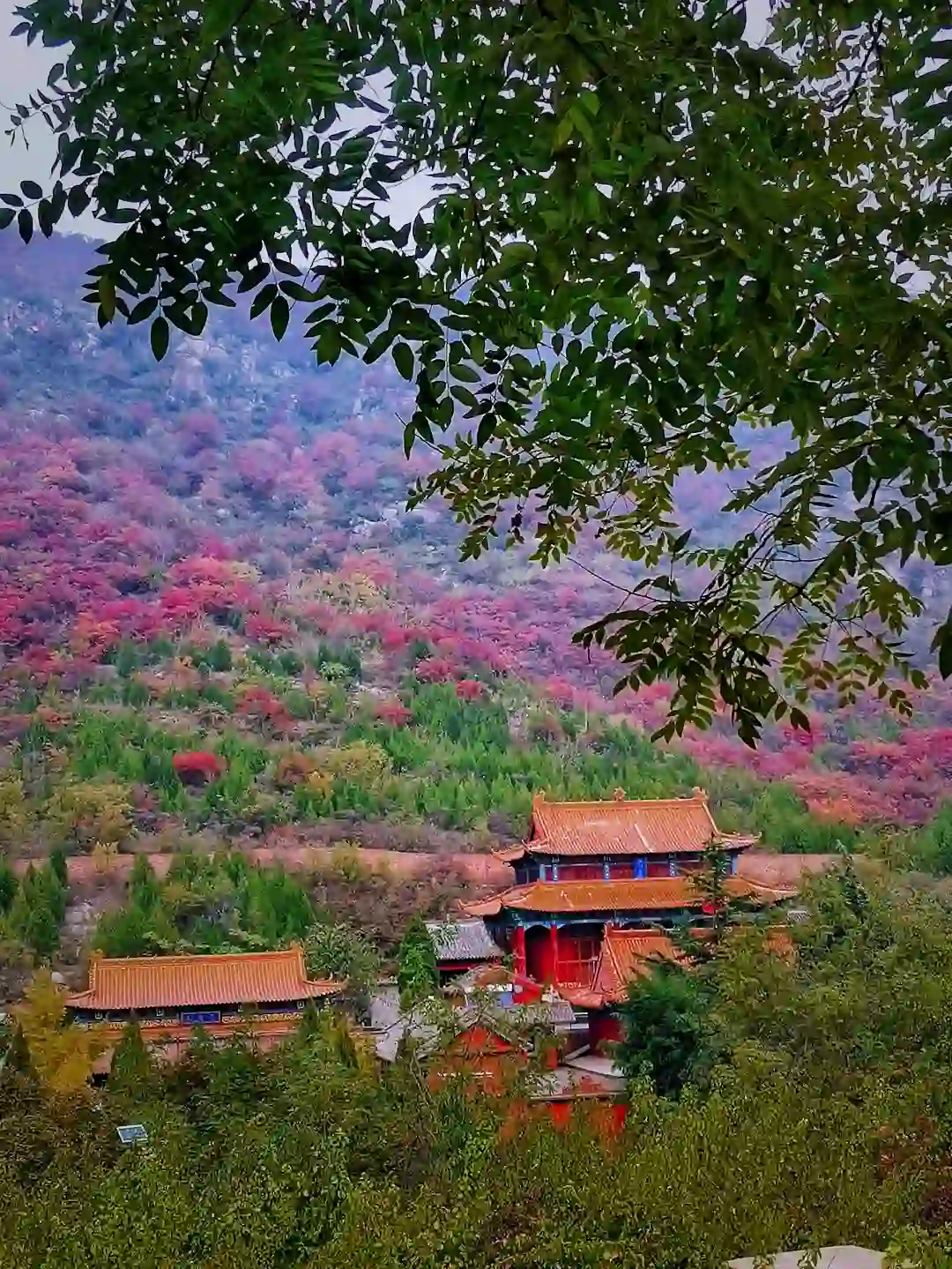 邯郸周边游：金沙河佛照山看红叶