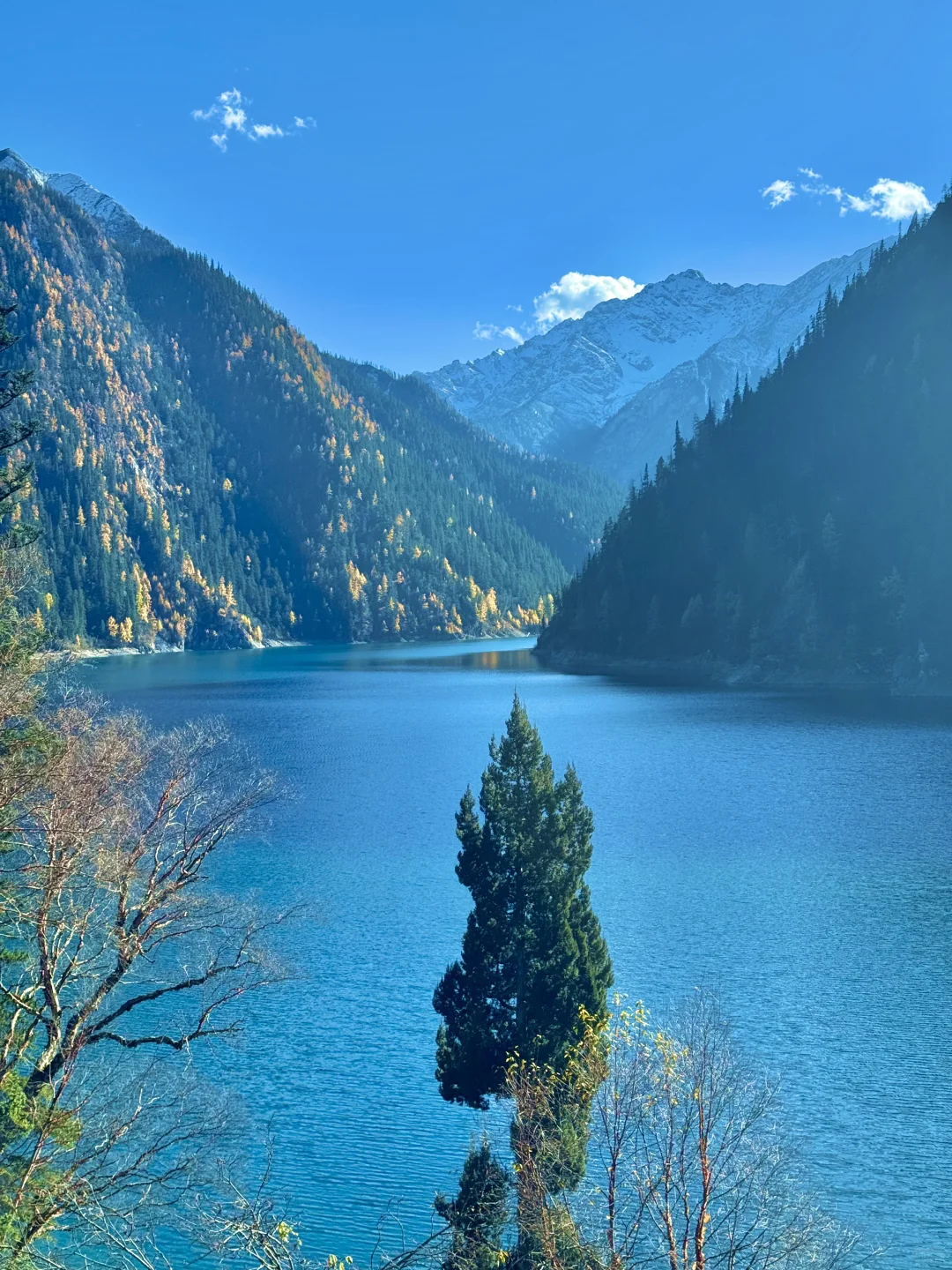 11月实况！三刷九寨沟🍁终于见到封神秋景！